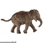 Schleich North America Asian Elephant Calf Figure 7.9 x 3.0 cm  B01CCOIEK4
